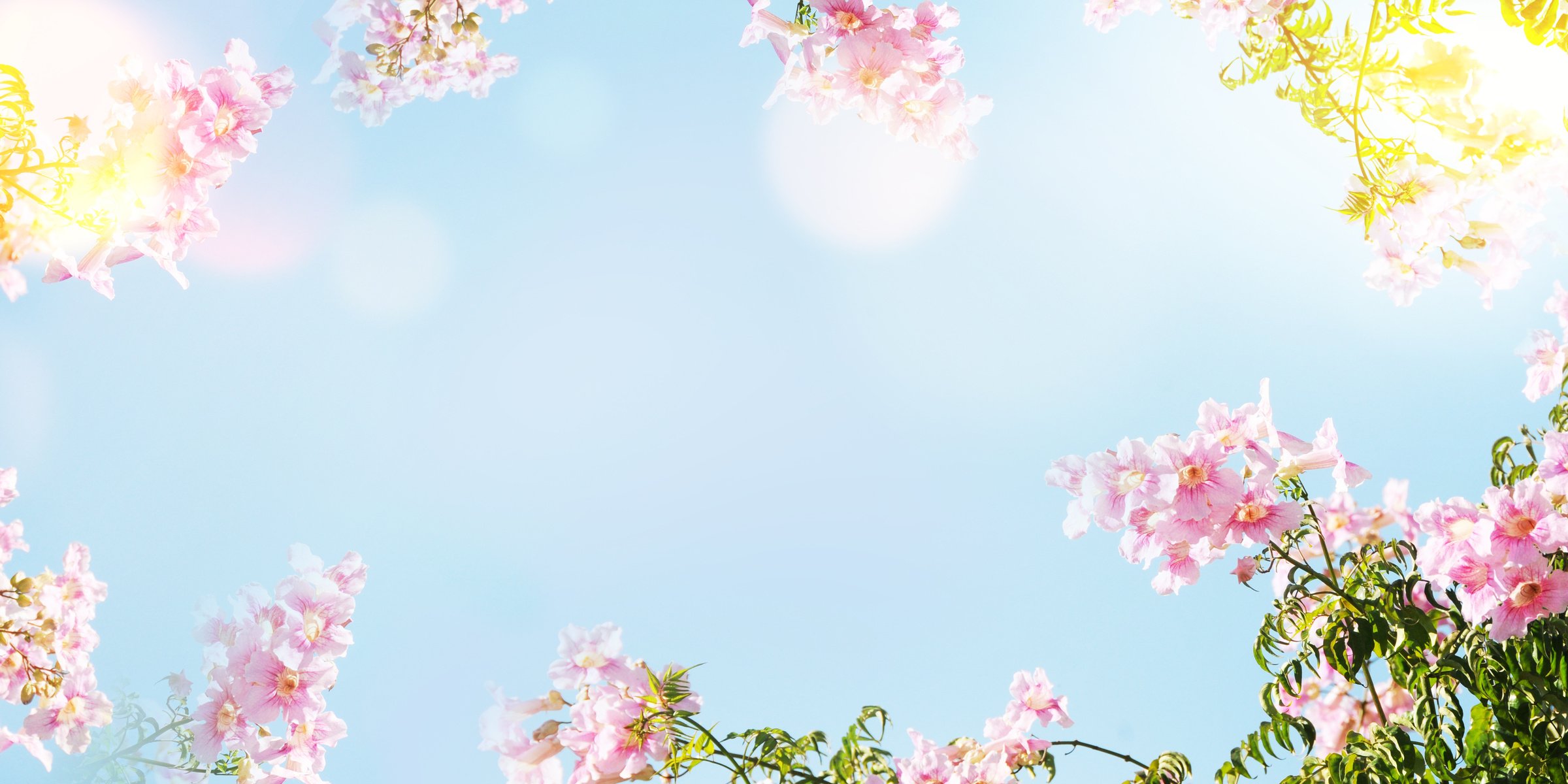 Spring background